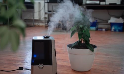 Nawilżacz powietrza — czy warto zainwestować w taki sprzęt?